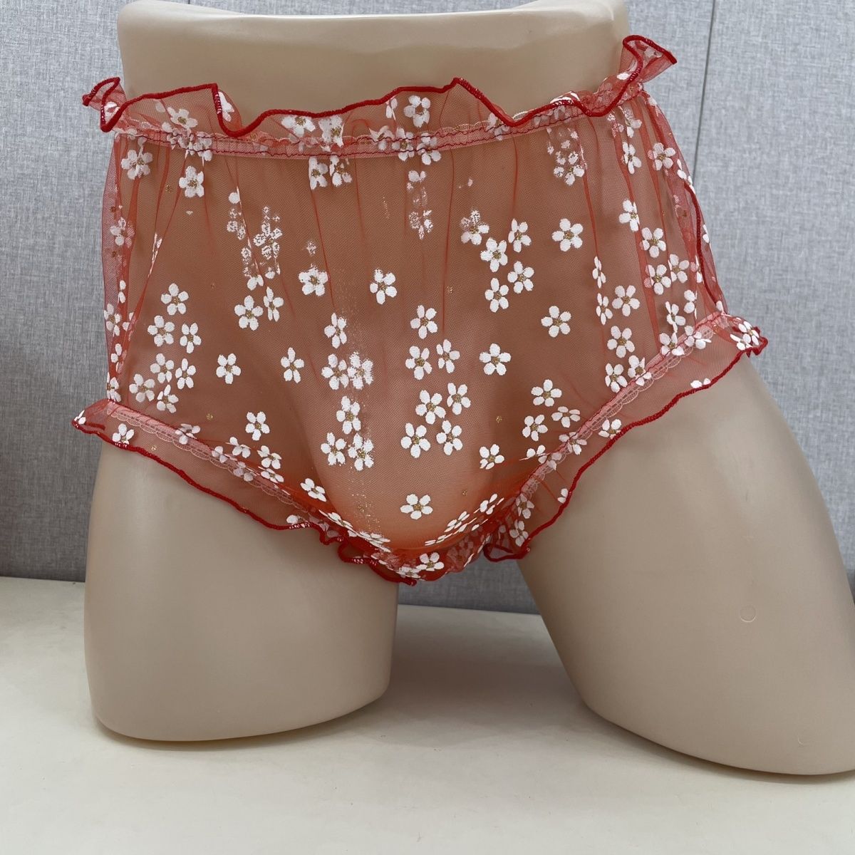 Mesh Men's Briefs Front Widene - Pouch Boxer Pouch บทวิจารณ์และราคา