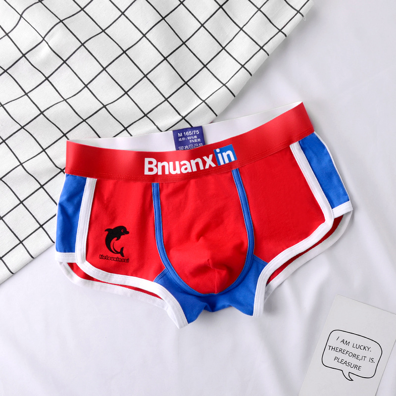 Man Underwear Fashion Youth Co - Boxer Brief Pack Cotton บทวิจารณ์และราคา