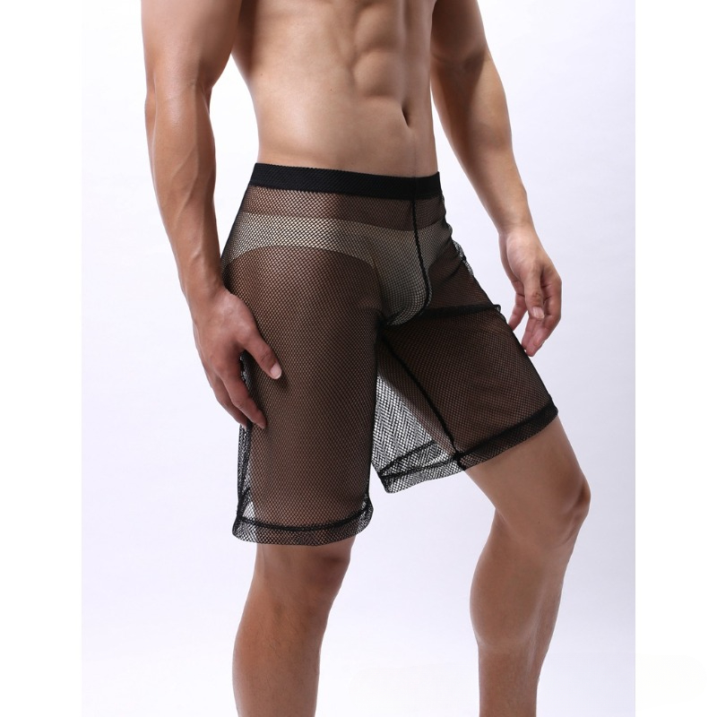 Low Rise Mesh Erotic Underwear - Pouch Boxer Pouch บทวิจารณ์และราคา