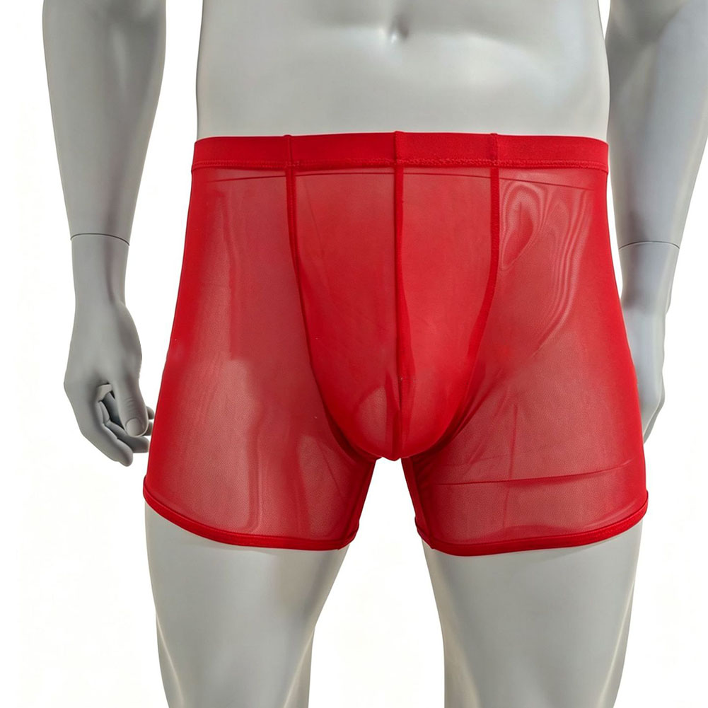 Men Mesh See-through Ultra-thi - Long Leg Trunk Men บทวิจารณ์และราคา
